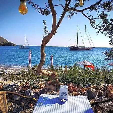 Masal Gibi 3*